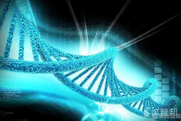 染色体平衡异位，第二代试管婴儿让我成功怀孕