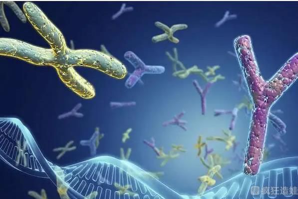 2023年华西二附院生殖医学中心能做供卵第三代试管婴儿吗？胚胎移植成功率高吗？