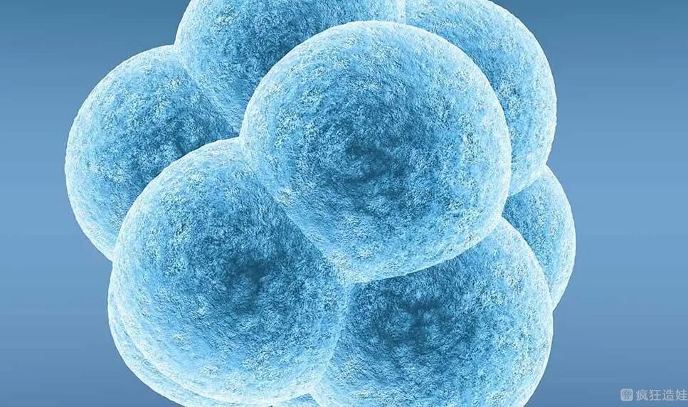 供卵第三代试管婴儿是自己的孩子吗？供卵第三代试管有没有血缘关系？