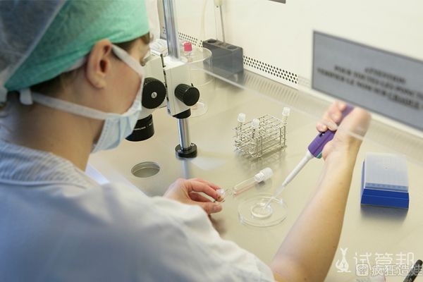 孕气爆表，第二代试管婴儿喜得双胞胎