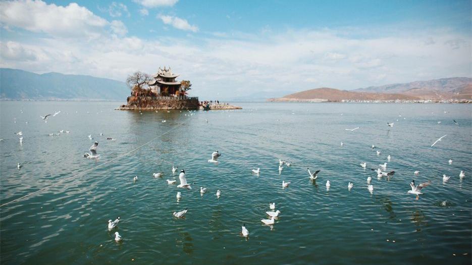 2022云南省第一人民医院试管婴儿成功率高吗？附2022上半年最新数据参考