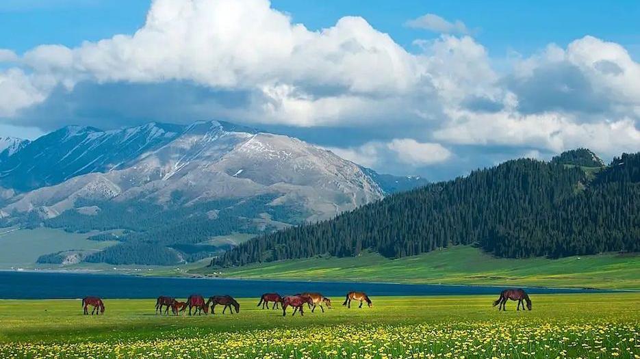 新疆幼稚子宫做试管成功率前五医院，附2022试管生男孩条件解读
