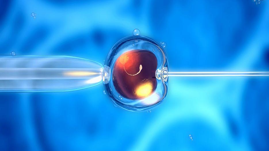 整理收藏2022运城市中心医院做三代试管供卵费用