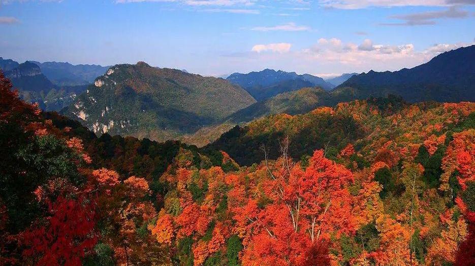 四川弓形子宫做试管婴儿成功率医院排名，2022四川生男孩试管医院名单