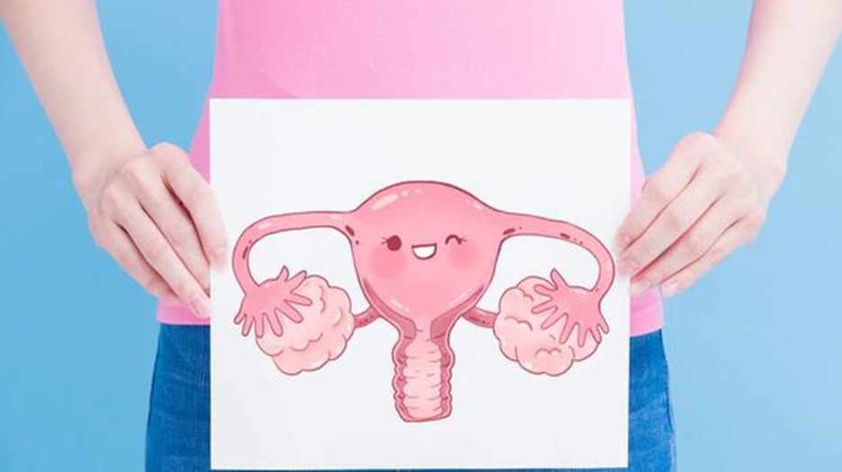 双角子宫能移植两个胚胎吗？听听生殖专家怎么说