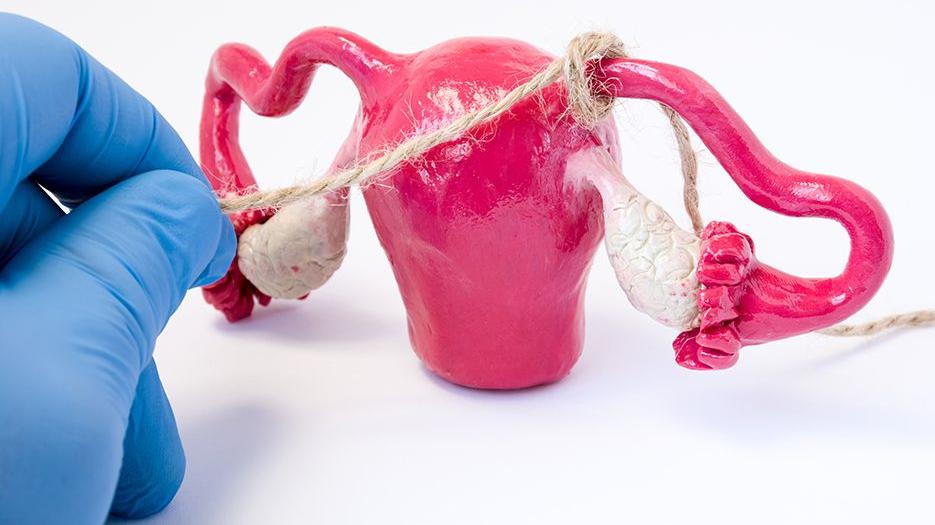 试管答疑：双角子宫做试管成功率高吗？一分钟带你了解真相