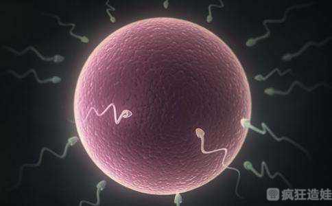 第三代试管婴儿取卵多点好还是少点好？第三代试管婴儿取卵的步骤