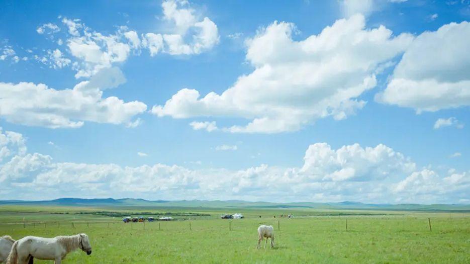 内蒙古幼稚子宫做试管成功率前五医院，附2022三代试管生男孩条件分析