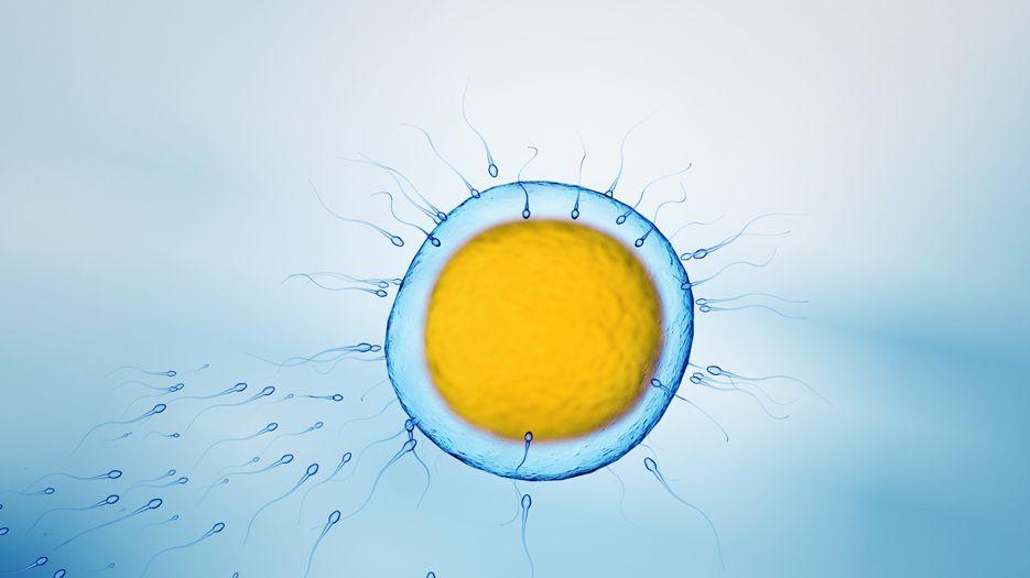 2022临汾市人民医院做试管供卵生男孩费用清单全新分析