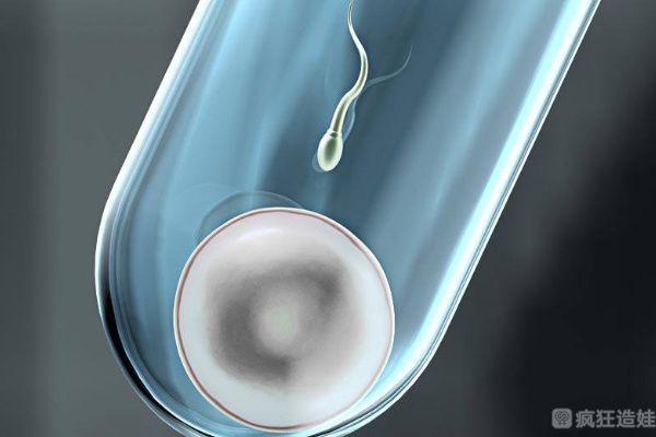 2025广东梅州供卵三代试管婴儿医院排名，助孕成功率哪家高？