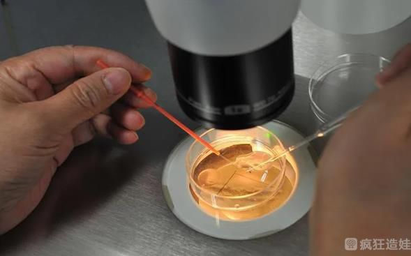 39岁用长方案促排后是移植鲜胚好还是冻胚好？