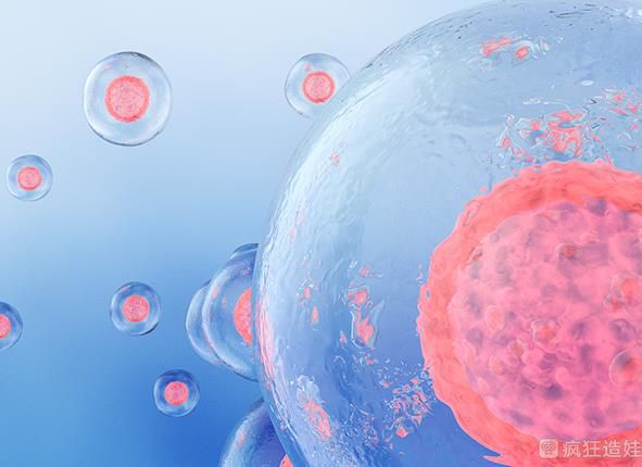 长沙供卵第三代试管婴儿医院排名？长沙最权威的试管婴儿医院有哪些？