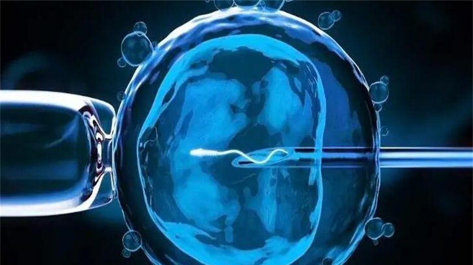 试管长方案好还是短方案成功率高？一文说清楚长方案和短方案的利弊