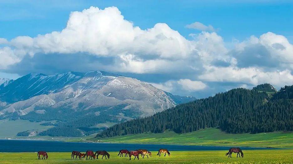 2022新疆试管婴儿费用明细一览，附新疆试管生男孩热门医院