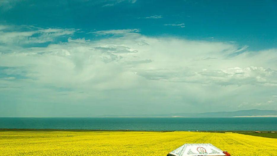 青海试管婴儿费用大概要多少钱？附2022青海试管医院好评排行榜