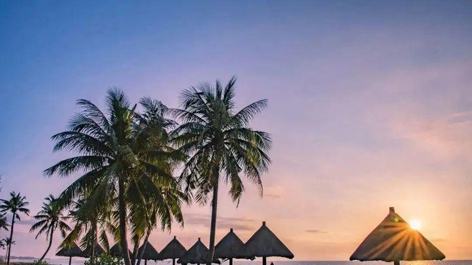 2022海南试管婴儿成功率最高的医院，当属海南医学院一附院、二附院