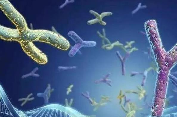 网上传言做第三代试管是能阻断鱼鳞病，这是真的吗？