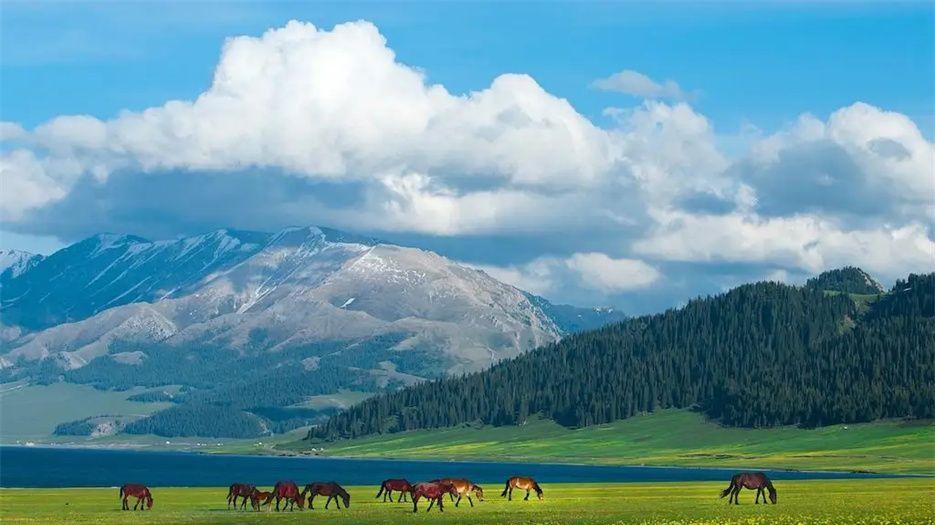 新疆供卵不排队医院名单大全，附2022三代供卵试管生男孩医院