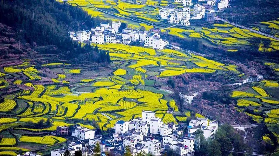 江西三代试管包生男孩多少钱？15万远远不够