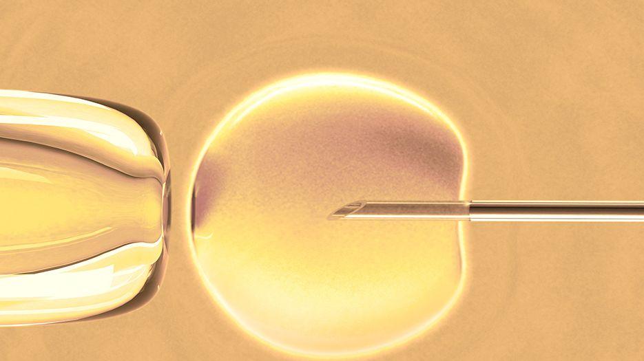 武汉三代试管包生男孩多少钱？13万绰绰有余