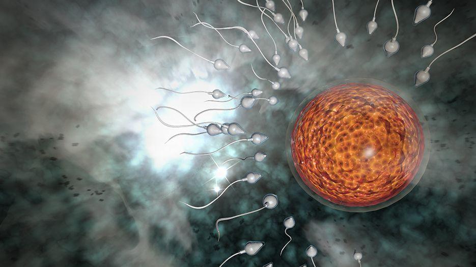 浙江二代试管怀双胞胎费用明细，看完便知准备多少