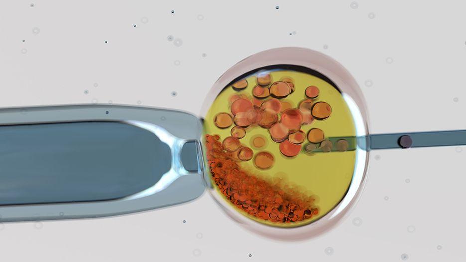 2022国内供卵做试管费用明细清单，附热门医院排行榜