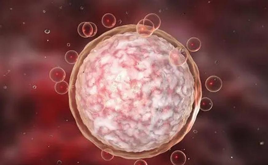 国内哪儿可以做供卵试管？附国内各省市做供卵最好的医院名单！