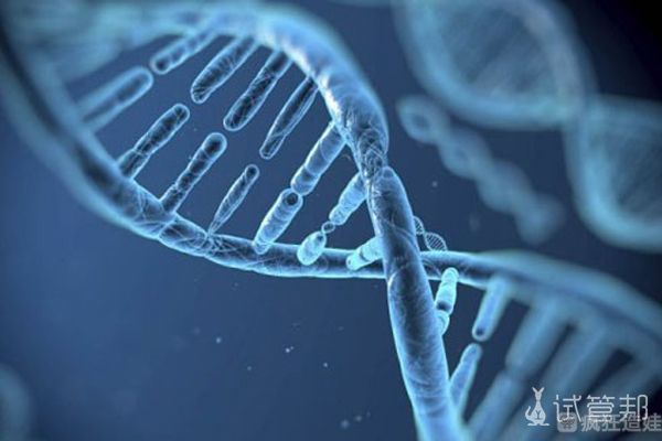 卵巢功能低，第二代试管婴儿助好孕