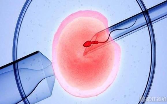 盐城供卵三代试管婴儿医院排名，附试管费用成功率一览？