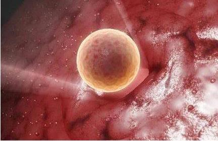 多囊卵巢综合症竟然怀孕了?多囊卵巢综合症可以做试管婴儿吗?