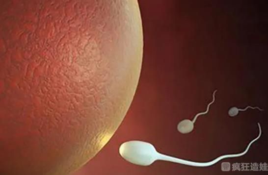 山西省煤炭中心医院做三代供卵试管婴儿要多少钱？五万够不够？