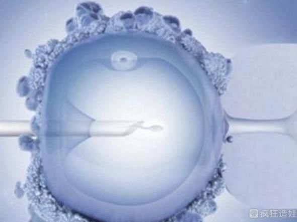 2023年国内有免费做第三代试管婴儿的医院吗？这一类家庭费用可全免？