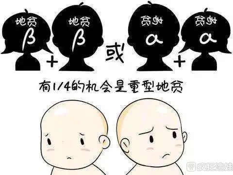 地中海贫血做第三代试管婴儿成功率会高吗？