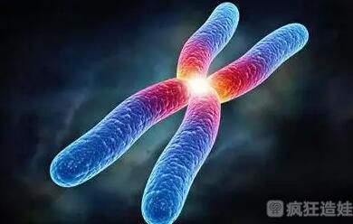 包生男孩就找第三代试管婴儿是真的吗？三代试管婴儿技术能不能生男孩？