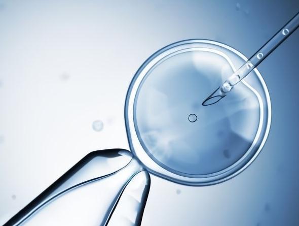 28岁男性先天性双侧输精管缺如做三代试管一次怀孕成功率高吗?