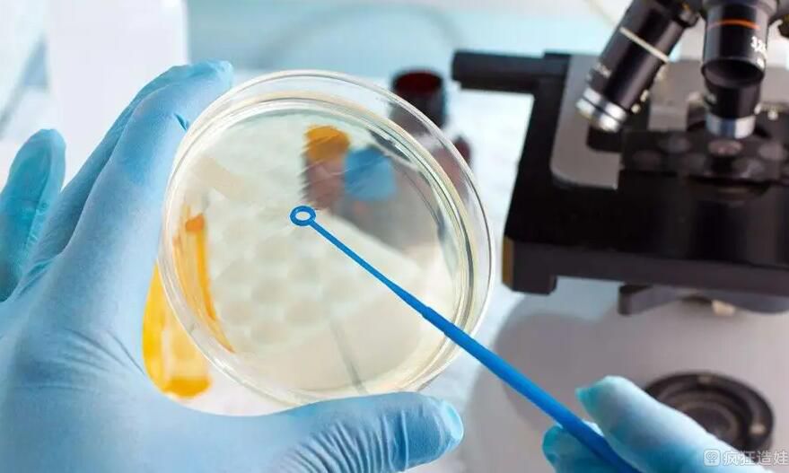 香港做第三代供卵试管婴儿包生男孩贵吗？二十万够吗？