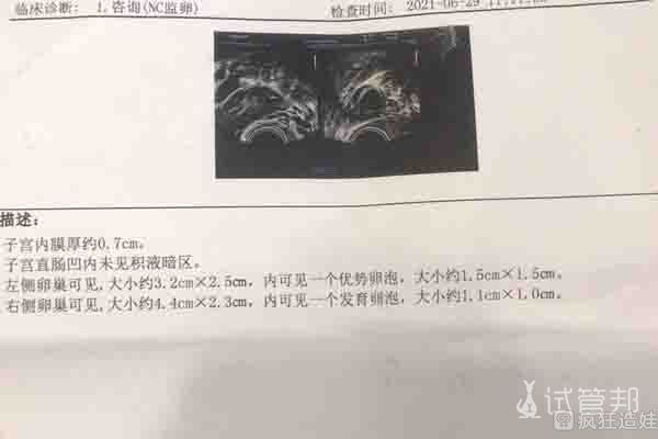 青海省人民医院第二代试管婴儿成功，喜迎牛宝