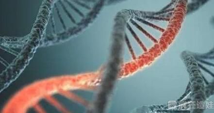 2023山西省人民医院试管婴儿生男孩怎么样？费用及成功率参考？