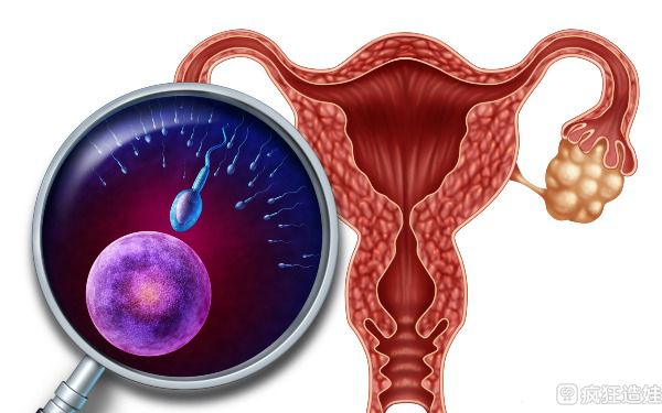 医生说我子宫内膜薄，请问可以做第三代试管婴儿助孕吗？