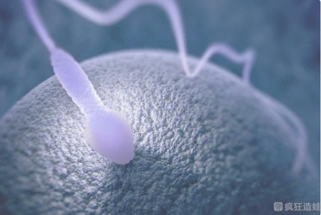 贵州供卵第三代试管婴儿第三方助孕助孕机构排名，附第三代试管婴儿医院推荐？