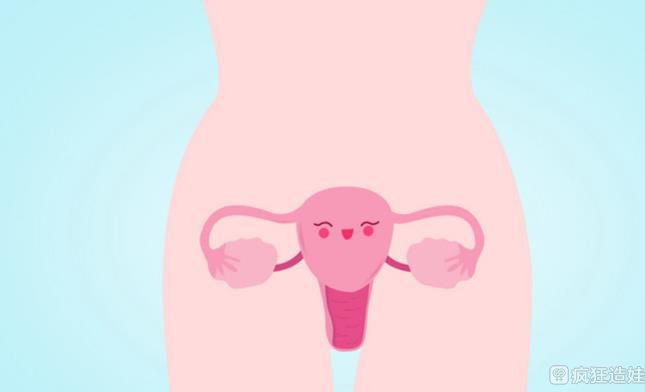 先天性无子宫做第三代试管婴儿能成功取出卵子吗？