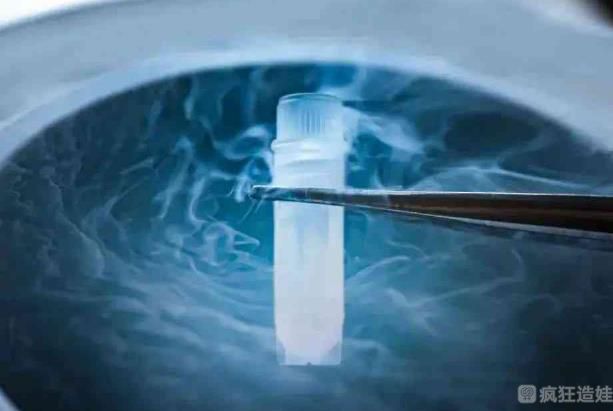 天津市中心医院做第三代试管婴儿的卵子冷冻费用是多少？