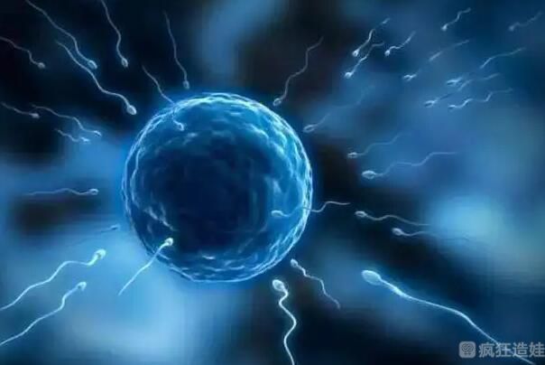 汕头中心医院供卵第三代试管婴儿胚胎移植成功率？附详细医院信息？