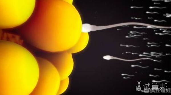 我为什么选择澳门医院做第三代试管婴儿