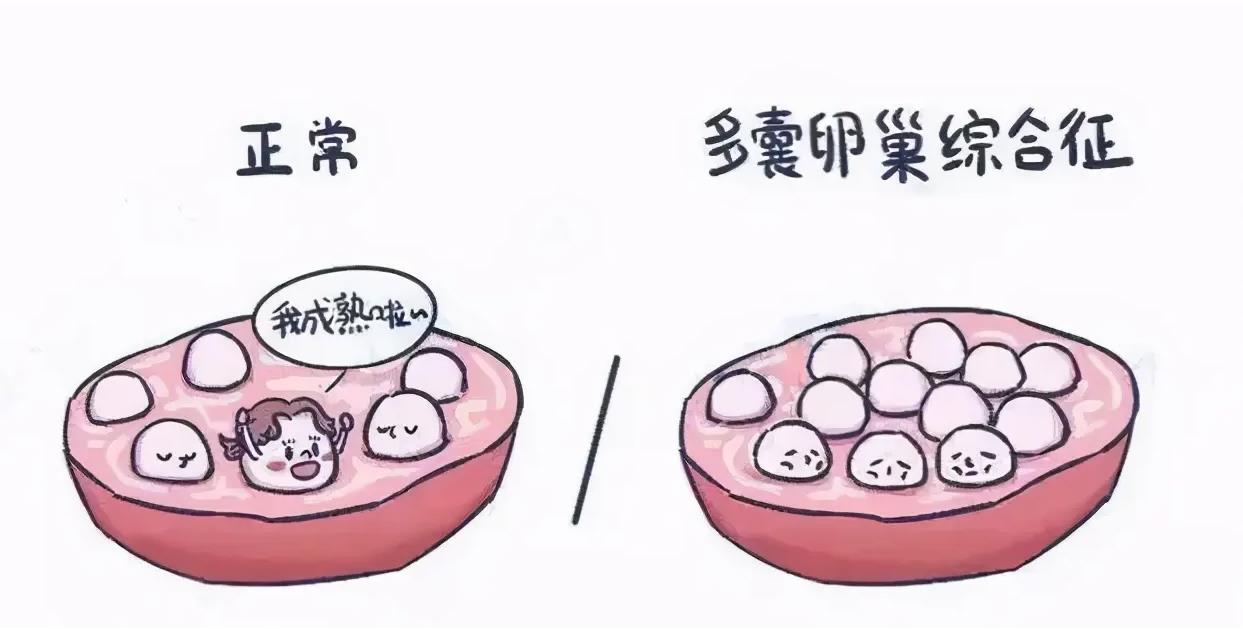 兰州大学第一医院做试管婴儿的专家主任有哪些？