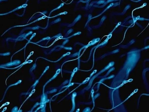 什么情况下不孕不育夫妻可以申请用精子库精子？