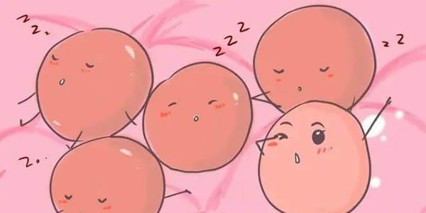 [科普文]基础卵泡少做试管成功率是不是很低