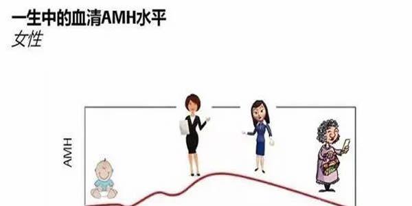 试管婴儿中女性amh值越高越好吗-然而并非如此