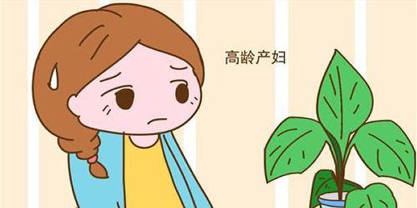 专家科普高龄试管反复移植失败的原因-值得高龄的你多看看