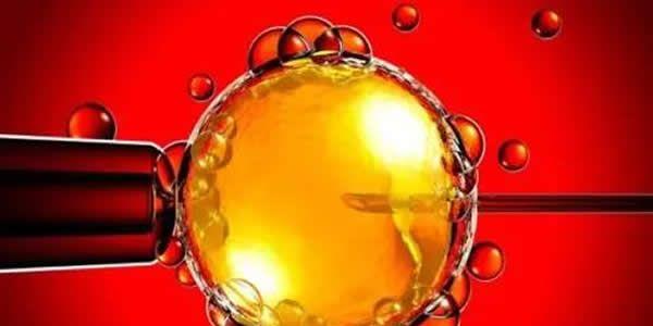 为什么高龄女性做试管婴儿容易着床失败？这6大因素早了解早避免！